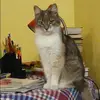 Отзыв от Валерия Никифорова